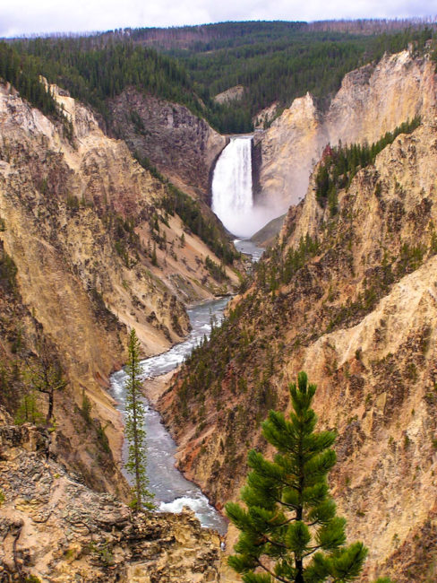 Grand Canyon of Yellowstone