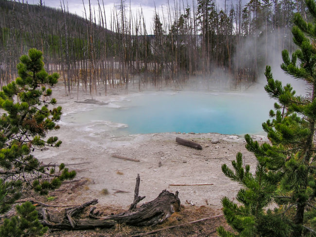 Yellowstone Norris Geyser Basin