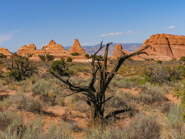 Arches - Devils Garden