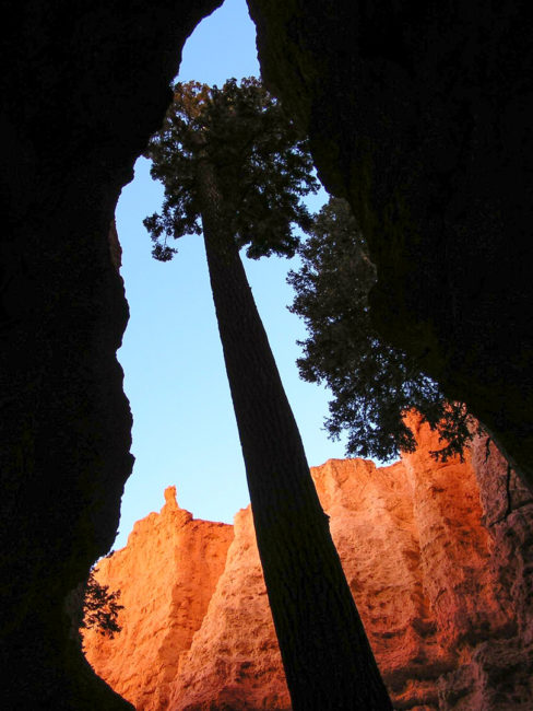 Bryce Canyon