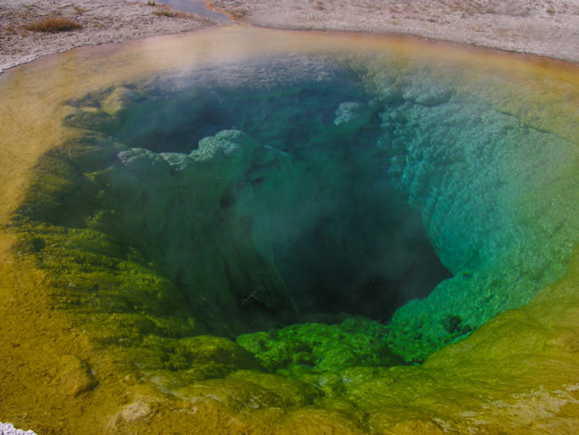 Yellowstone - Morning Star Pool