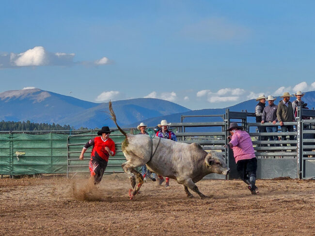 Rodeo - provokace býka